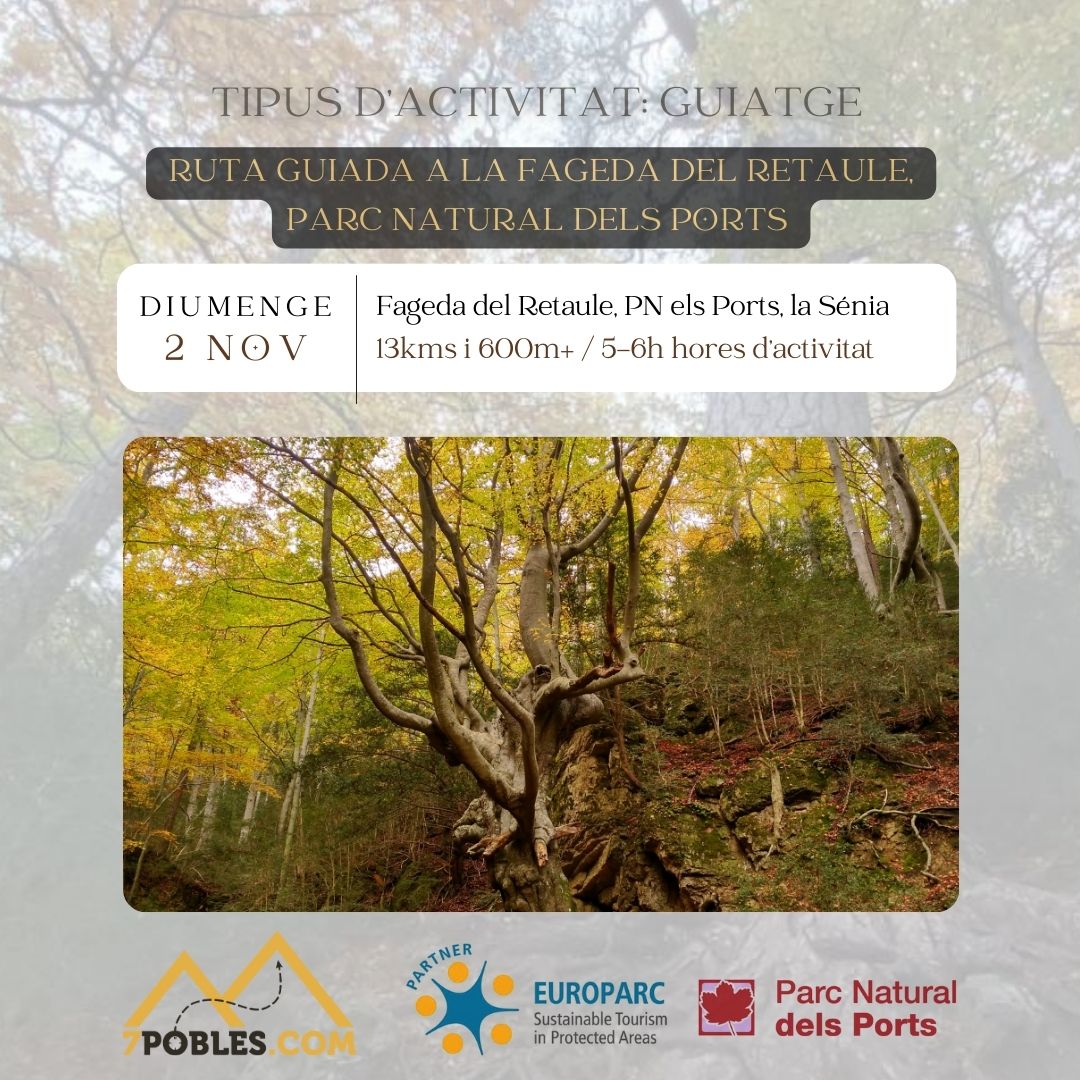 [:ca] RUTA GUIADA A LA FAGEDA DEL RETAULE, PARC NATURAL DELS PORTS [:]