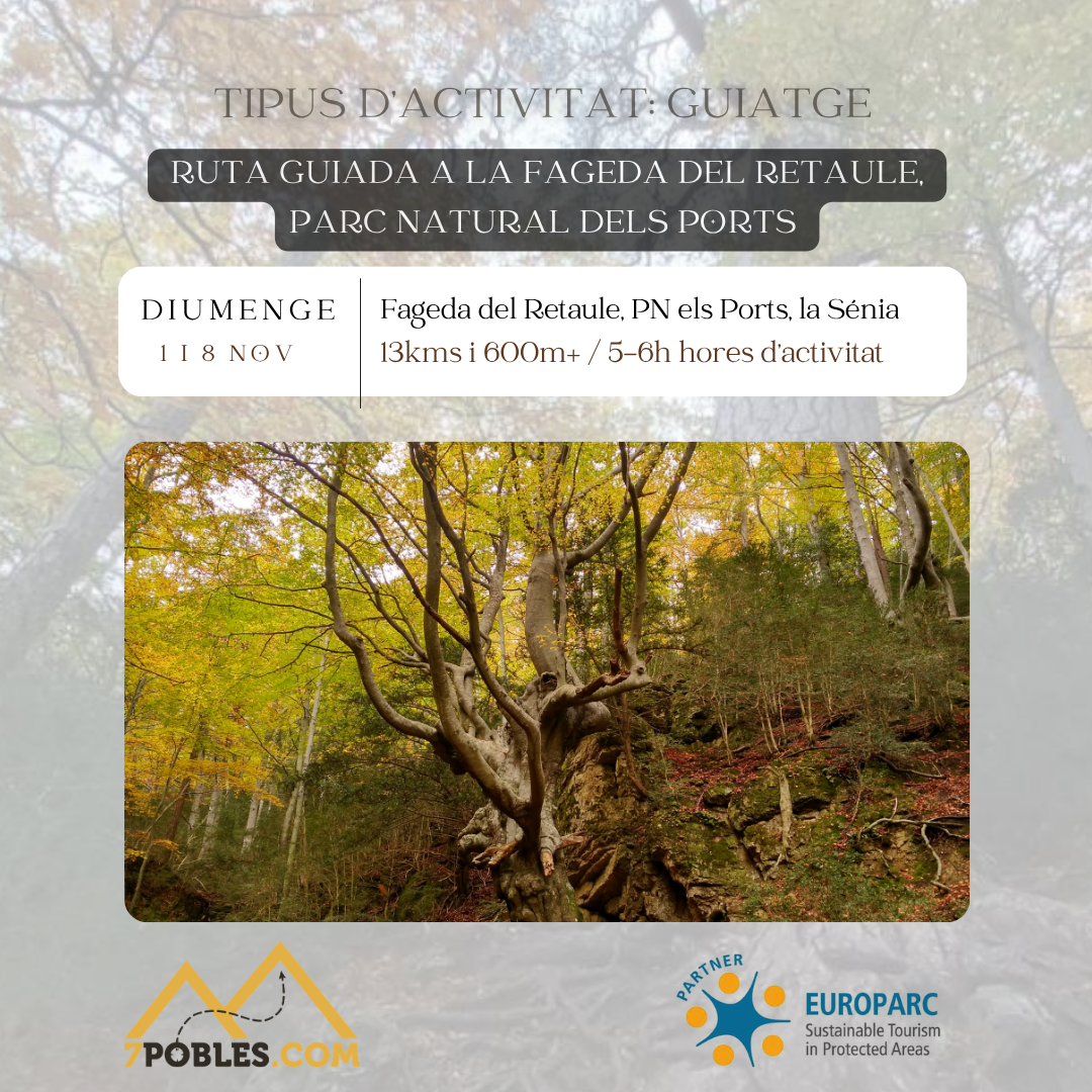 [:ca] RUTA GUIADA A LA FAGEDA DEL RETAULE, PARC NATURAL DELS PORTS [:]